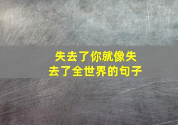 失去了你就像失去了全世界的句子