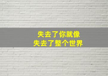 失去了你就像失去了整个世界