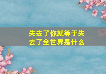 失去了你就等于失去了全世界是什么