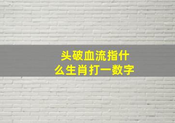 头破血流指什么生肖打一数字