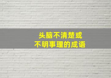 头脑不清楚或不明事理的成语