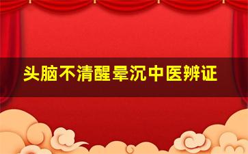 头脑不清醒晕沉中医辨证