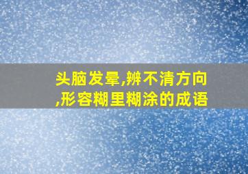 头脑发晕,辨不清方向,形容糊里糊涂的成语