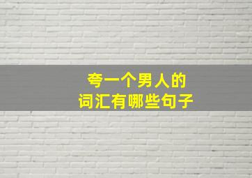 夸一个男人的词汇有哪些句子