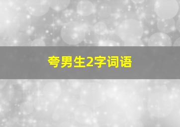 夸男生2字词语