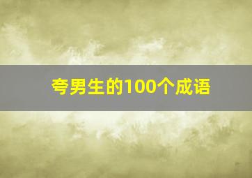 夸男生的100个成语