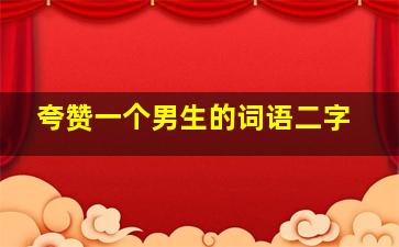 夸赞一个男生的词语二字