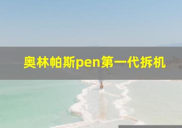 奥林帕斯pen第一代拆机