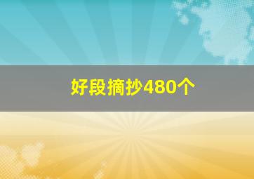 好段摘抄480个