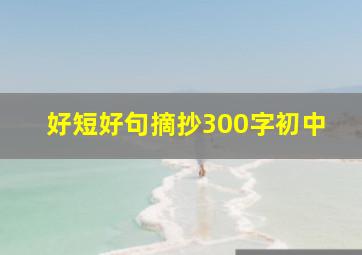 好短好句摘抄300字初中