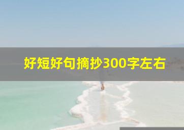 好短好句摘抄300字左右