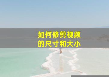 如何修剪视频的尺寸和大小