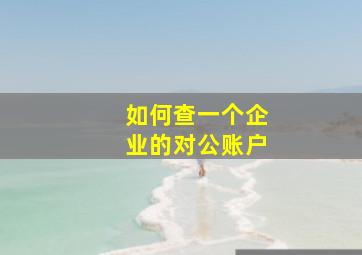 如何查一个企业的对公账户