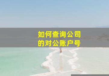 如何查询公司的对公账户号