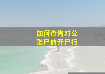 如何查询对公账户的开户行