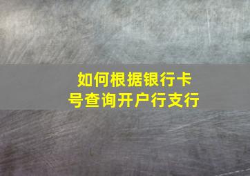 如何根据银行卡号查询开户行支行