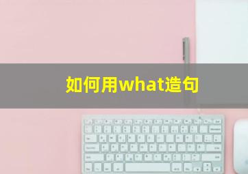 如何用what造句