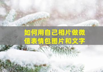 如何用自己相片做微信表情包图片和文字