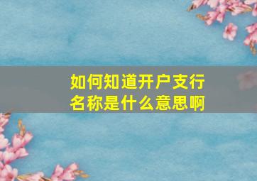 如何知道开户支行名称是什么意思啊