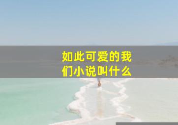 如此可爱的我们小说叫什么