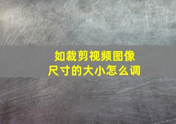 如裁剪视频图像尺寸的大小怎么调