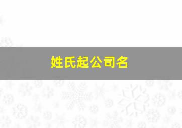 姓氏起公司名