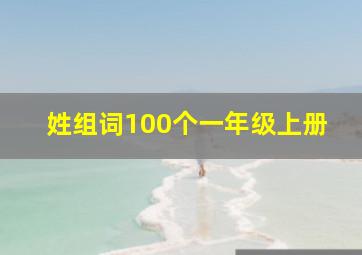 姓组词100个一年级上册