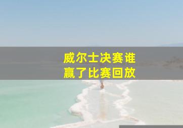 威尔士决赛谁赢了比赛回放