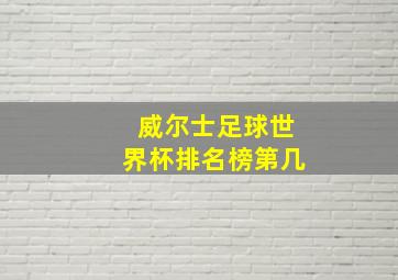 威尔士足球世界杯排名榜第几