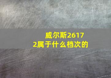 威尔斯26172属于什么档次的