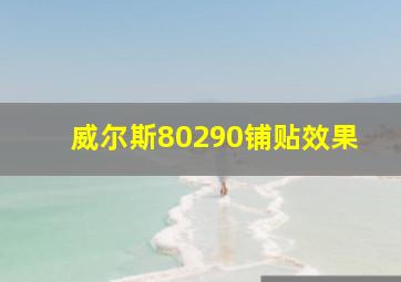 威尔斯80290铺贴效果