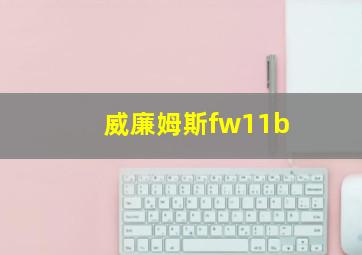 威廉姆斯fw11b