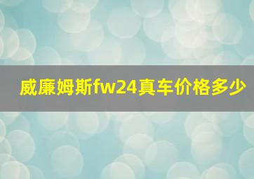 威廉姆斯fw24真车价格多少