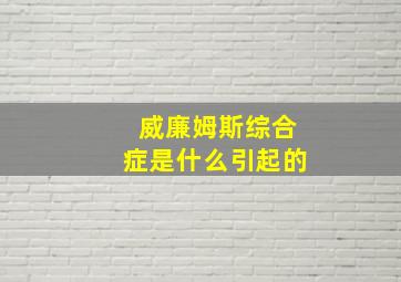 威廉姆斯综合症是什么引起的