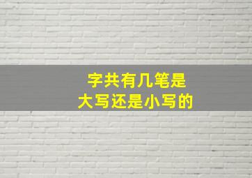 字共有几笔是大写还是小写的