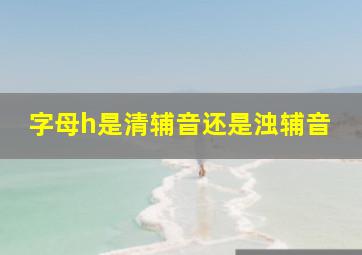 字母h是清辅音还是浊辅音