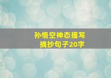 孙悟空神态描写摘抄句子20字