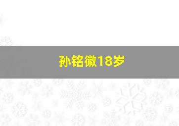 孙铭徽18岁