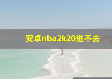 安卓nba2k20进不去