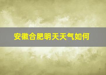 安徽合肥明天天气如何