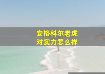 安格科尔老虎对实力怎么样