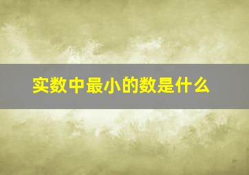 实数中最小的数是什么