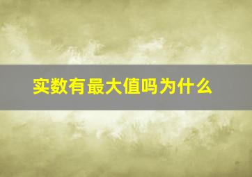 实数有最大值吗为什么