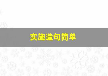 实施造句简单