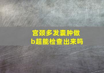 宫颈多发囊肿做b超能检查出来吗