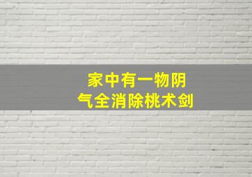 家中有一物阴气全消除桃术剑