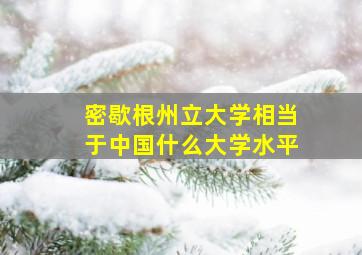 密歇根州立大学相当于中国什么大学水平