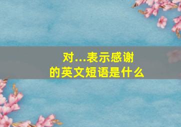 对...表示感谢的英文短语是什么