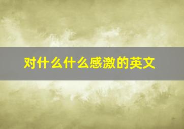 对什么什么感激的英文