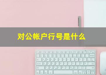 对公帐户行号是什么